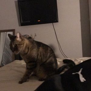 Meet your Posher, Laura